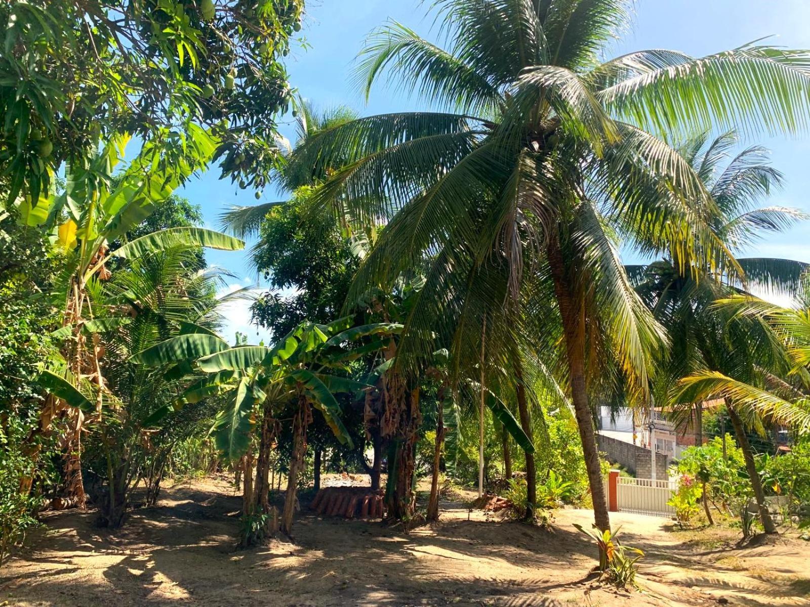 Jacarecica Haus Hotel Maceio  Bagian luar foto